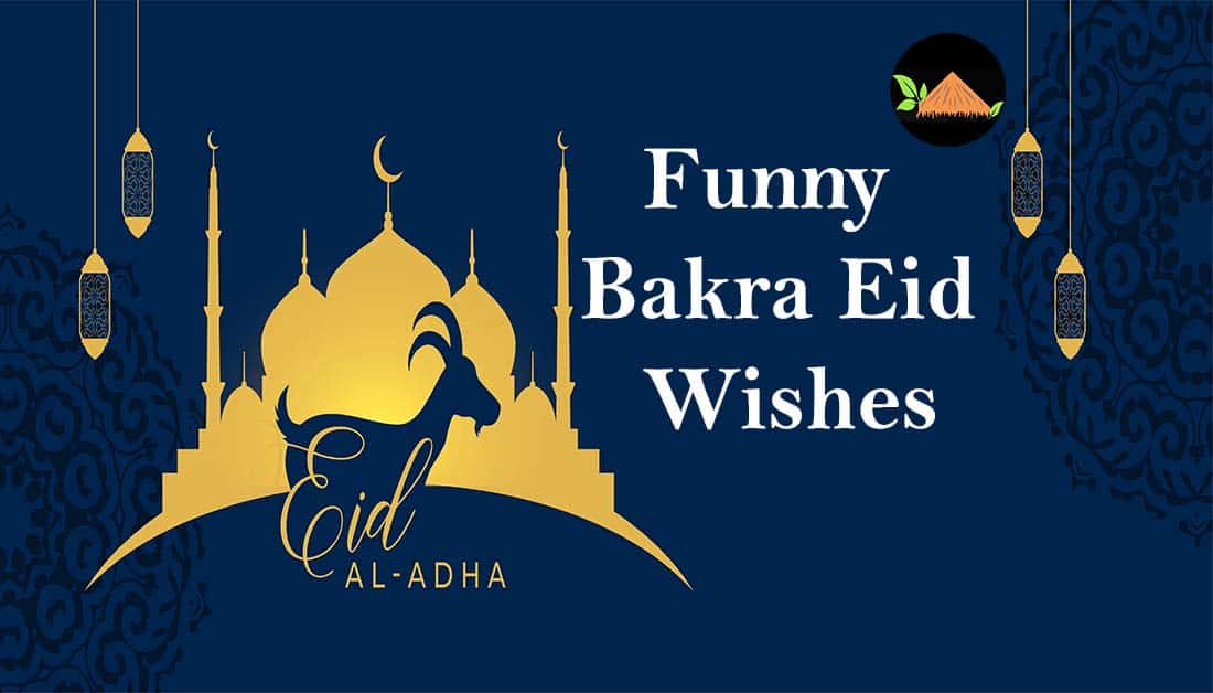 Funny Bakra Eid 2022 Wishes in Urdu - Funny Quotes & Captions | Showbiz Hut