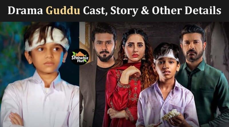 guddu drama cast name, story, timing