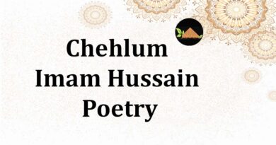 chehlum imam hussain poetry in urdu arbaeen shayari