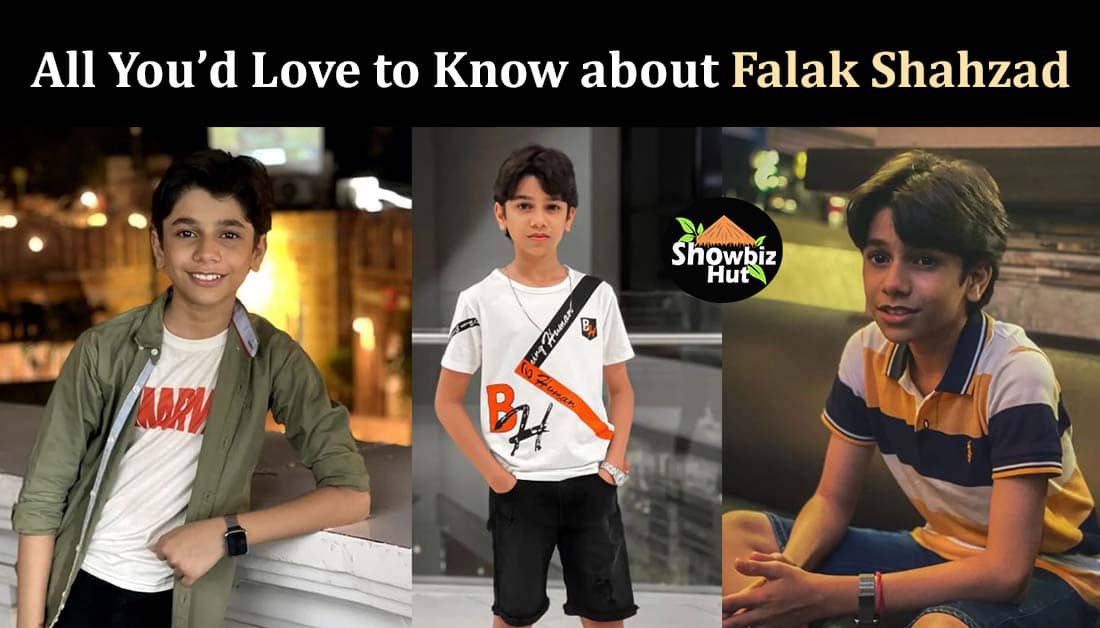 Falak Shahzad Biography, Age, Mother, Family, Father, Dramas 