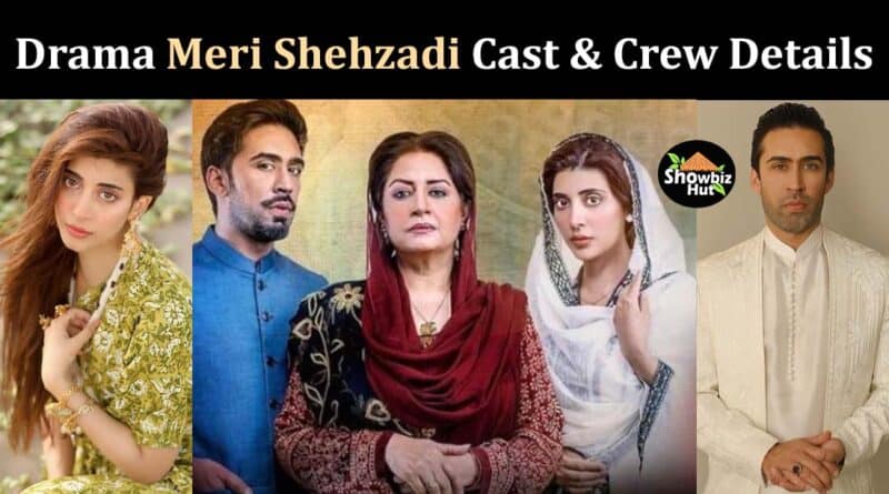 meri shehzadi drama cast name story