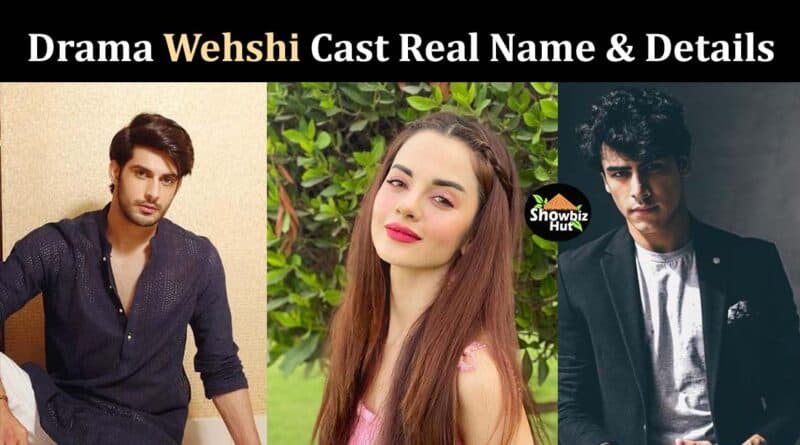 wehshi drama cast real name pictures