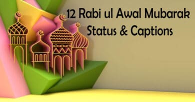 12 Rabi ul Awal 2022 Status