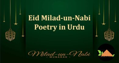 eid milad un nabi poetry in urdu shayari