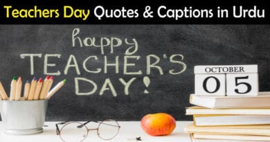 teachers day quotes in urdu