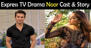 noor drama cast