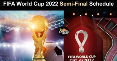 fifa world cup 2022 semi final in pakistan time
