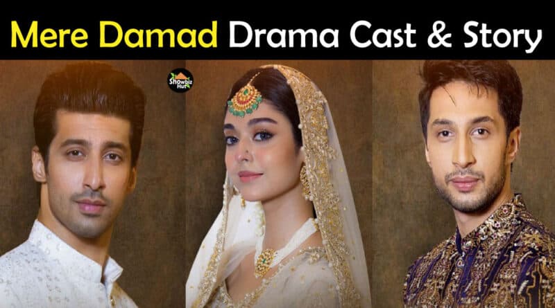 mere damad drama cast