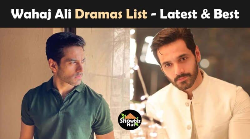 wahaj ali dramas list latest best top dramas