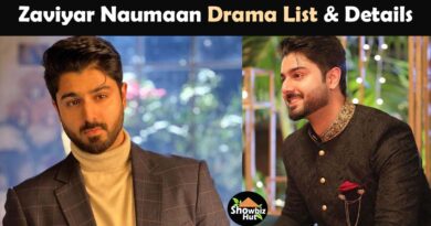 zaviyar noman drama list recent best dramas