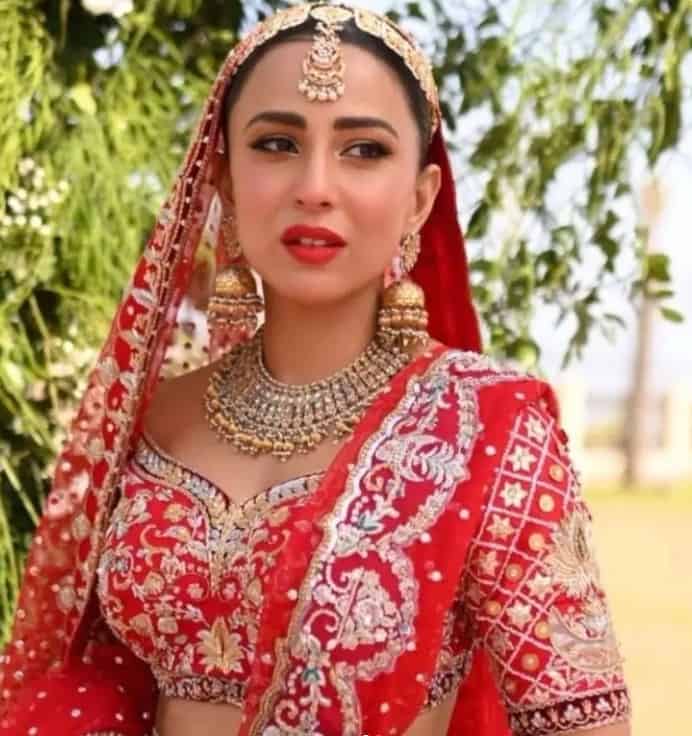 Ushna Shah Wedding pictures 