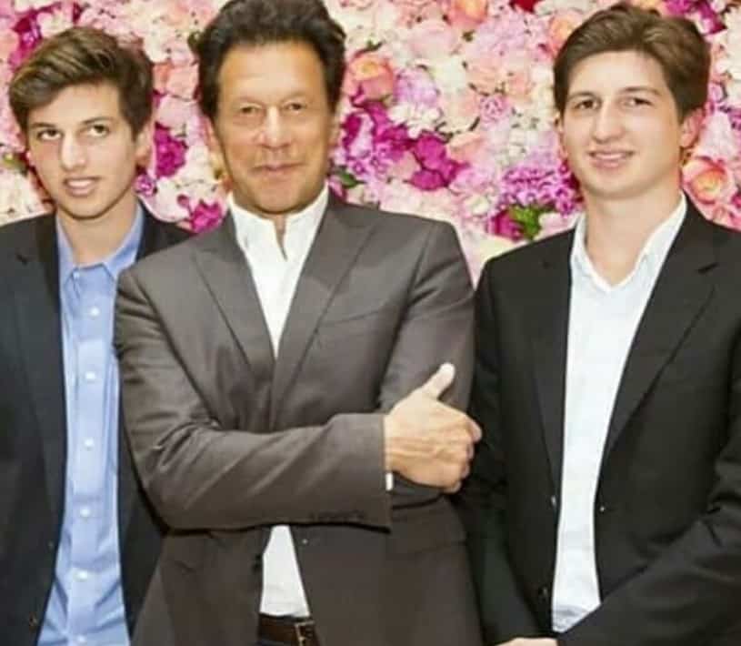 imran khan son sulaiman khan 