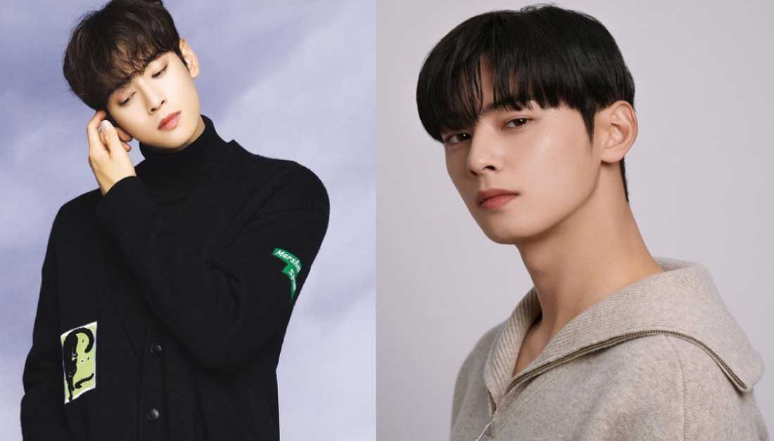 Cha Eun Woo Biography - Wife, Brother, Family, Ethnicity, Drama ...