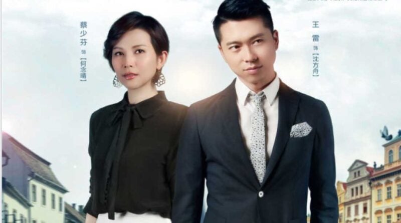 Decide Not to Marry President Chinese Drama Cast